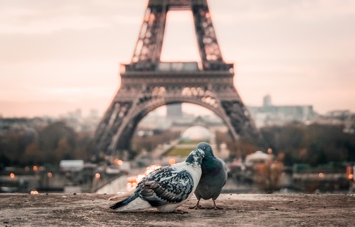 paris-love.jpg