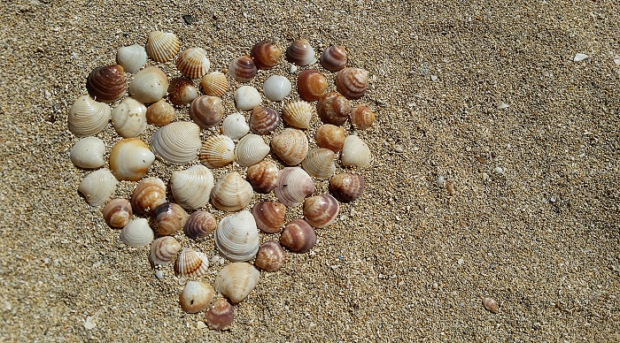 shells-heart.jpg