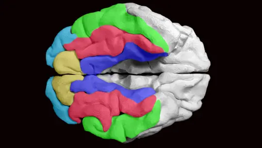 Cognitive reserve what it is and how it protects us