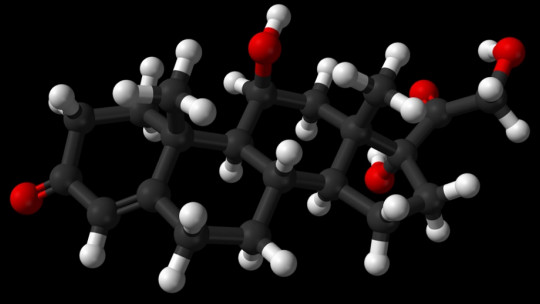 Cortisol: the Hormone That Causes Stress