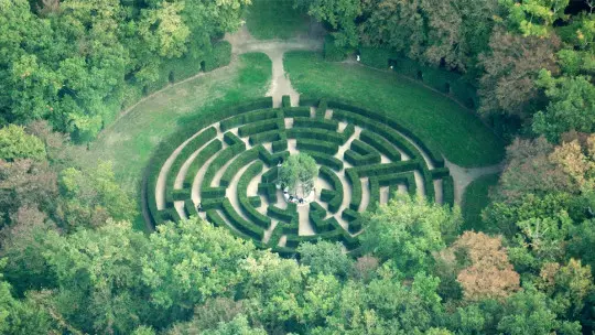 Edward Tolman biography and study of cognitive maps