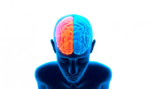 GABA neurotransmitter what it is and what role it plays