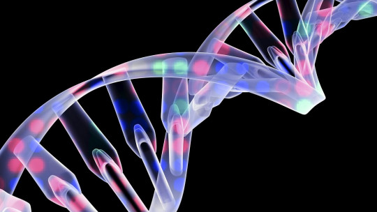 Genetics and Behavior: Do Genes Decide How We Act?