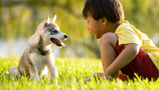 How to Develop Empathy Towards Animals in Children