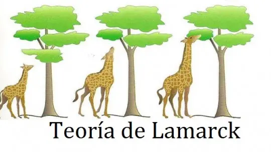 Lamarcks Theory and the evolution of species