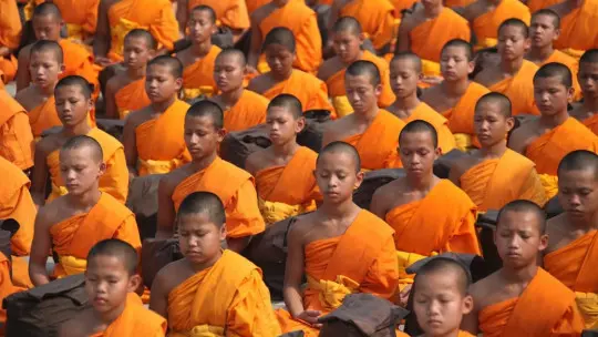 Parasympathetic Nervous System: Functions and Route Parasympathetic Nervous System: Functions and Route