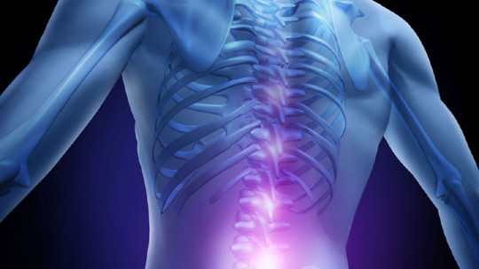 Spinal Cord: Anatomy, Parts and Functions