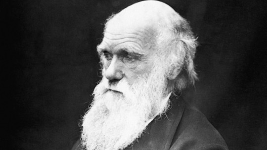 The 70 Best Phrases and Reflections of Charles Darwin