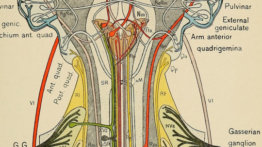 Types of psychiatry