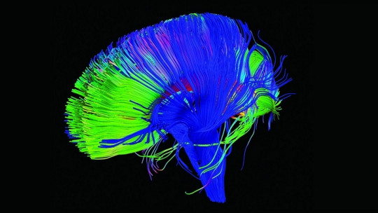 The Genetic and Biological Bases of Psychopathy