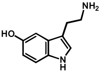 http://thedetoxdiva.com/wp-content/uploads/2014/03/Serotonin.png