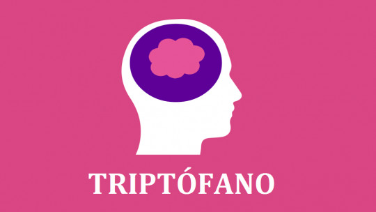 Tryptophan: Characteristics and Functions of This Amino Acid