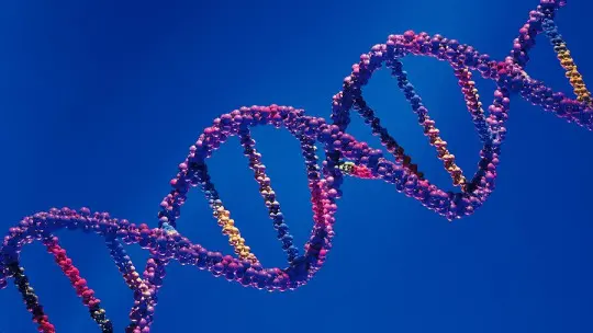 ​Top 10 Genetic Disorders and Diseases