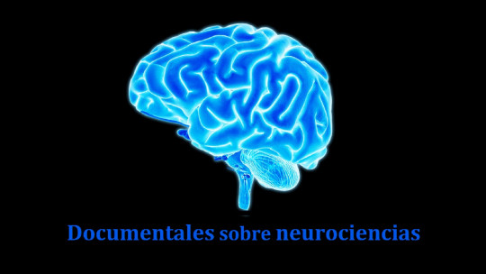 12 Documentaries About Neuroscience and Neuropsychology