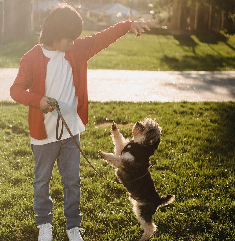 Benefits of pets in children with ASD