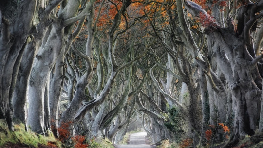 10 Irish Legends Full of Mythology and Folklore