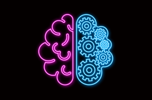 13 Neuroscience Books for Beginners (highly Recommended)
