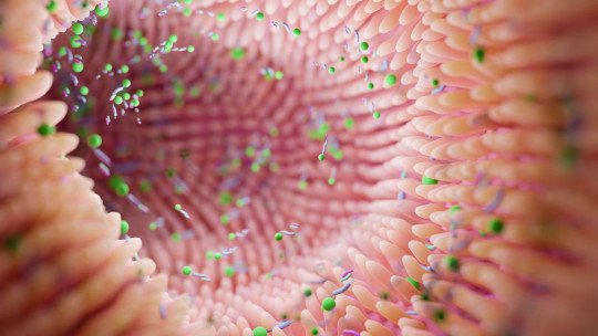 How Does the Microbiota Influence Our Mental Well Being? the Science