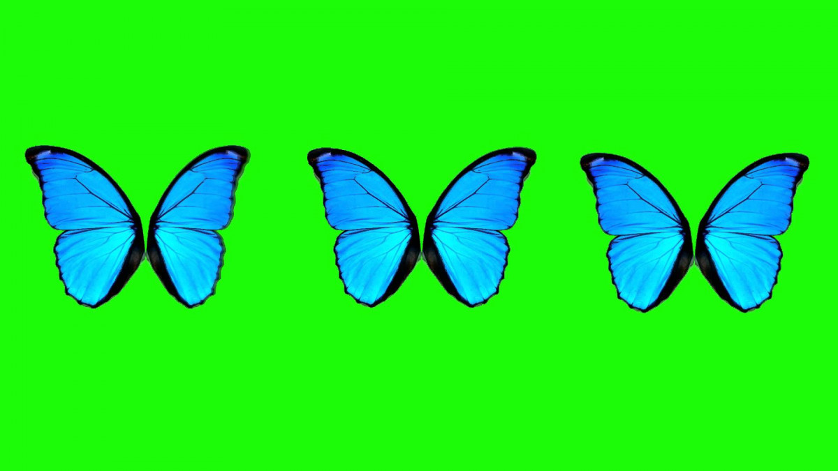 1710298756 900 The history of the symbol of Psychology Ψ