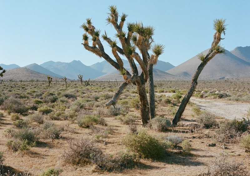 death Valley