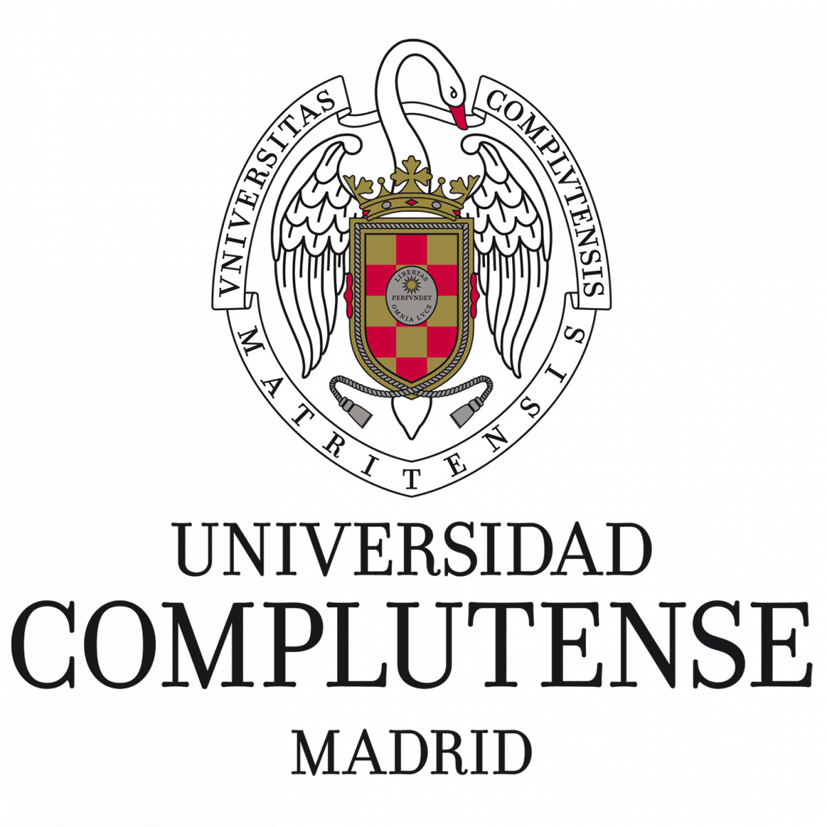 Complutense University