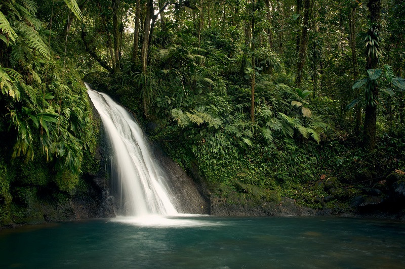 Colombian legend of the mother of water