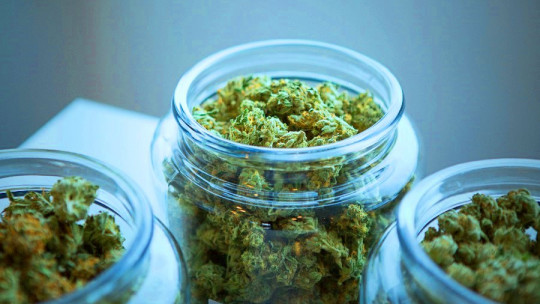 3 Scientifically Proven Benefits of Marijuana