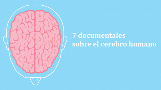 7 Documentaries That Talk About the Human Brain