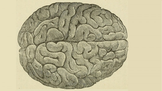 Allochyria: Symptoms, Causes and Treatment