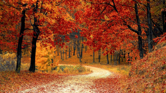 Autumn: what must end for a new beginning