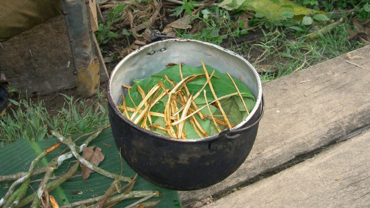 Ayahuasca ritual