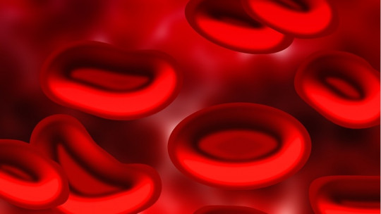 Blood Types: Characteristics and Compositions