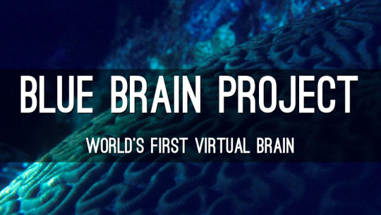 Blue Brain Project: Rebuilding the Brain to Understand it Better