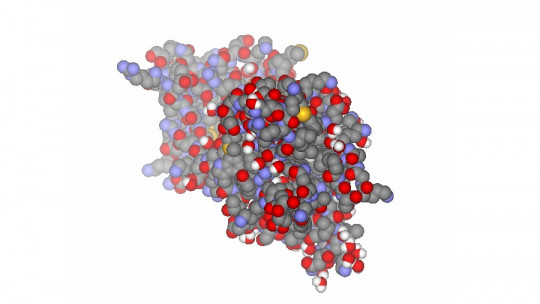 Brain-derived neurotrophic factor