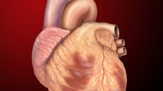 Cardiac Foci: What They Are, Characteristics and Possible Causes