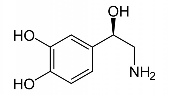 Catecholamines: Types and Functions of These Neurotransmitters