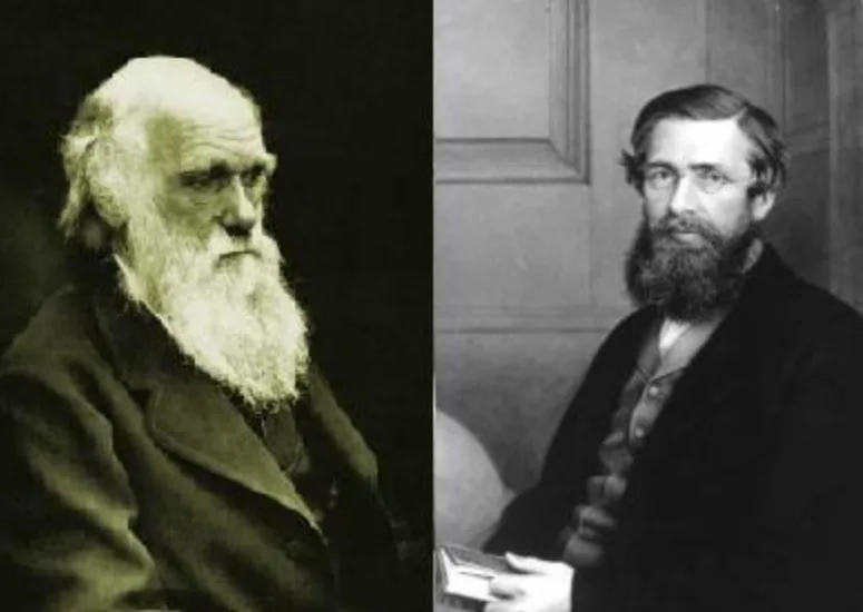 Charles Darwin and Alfred Russel Wallace Natural Selection and Shared Discovery