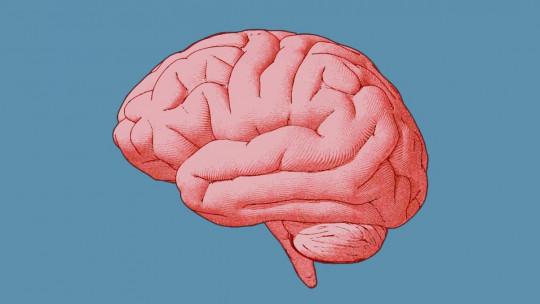 Computational Theory of Mind: What Does it Consist Of?