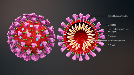 Coronavirus governments