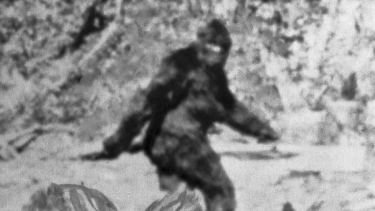 Cryptozoology: What it Is, What it Investigates, Examples and Why