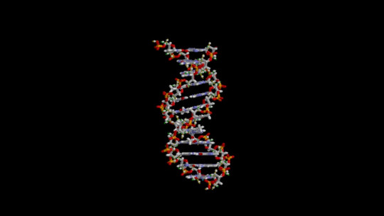 DNA translation