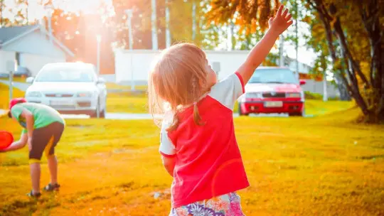 Developmental Psychology: Main Theories and Authors Developmental Psychology: Main Theories and Authors