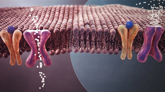 Diabetic neuropathies