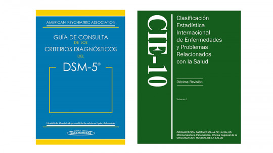 Differences Between Dsm 5 and Icd 10