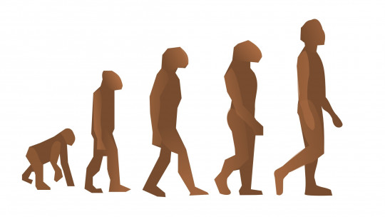 Differences Between Evolutionary Psychology and Evolutionary Psychology