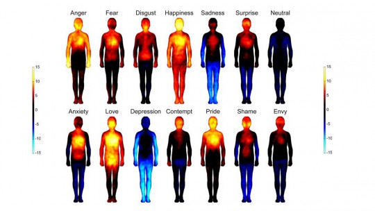 Discover the Body Map of Emotions