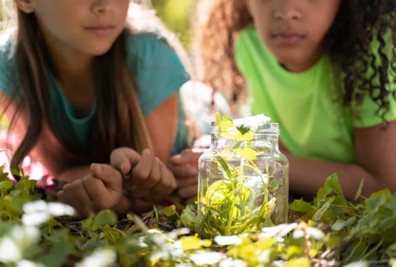 Environmental Education