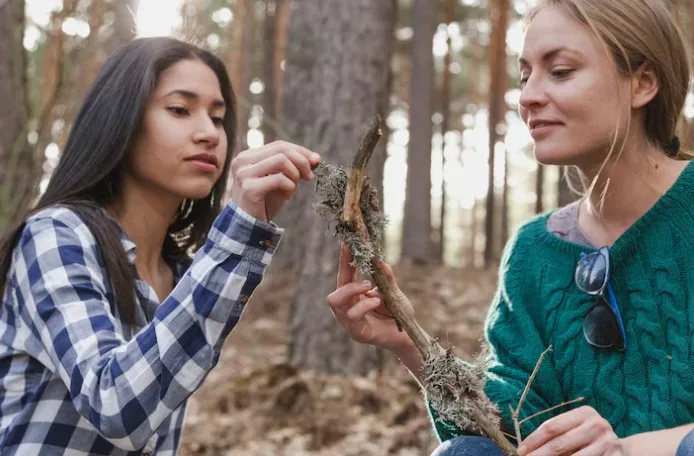 Environmental Ethics: Our Relationship with Nature