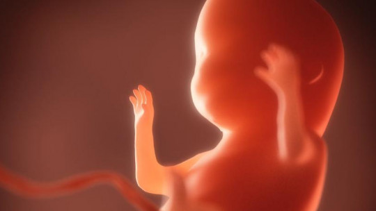 Fetal Alcohol Syndrome (fas): Symptoms, Causes and Treatment