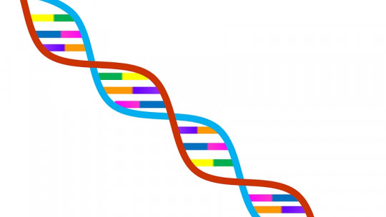 Genetic Determinism: What it is and What it Implies in